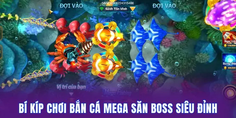 Bí kíp săn xu đỉnh cao từ ngư dân chuyên nghiệp