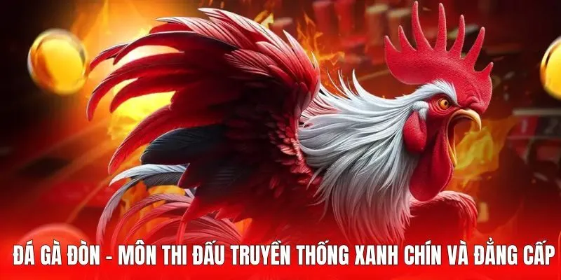 Đá gà đòn là biểu tượng của sức mạnh